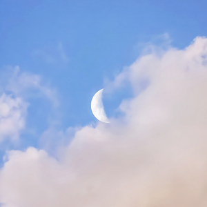 拖👙❌❌❌摸🐻
